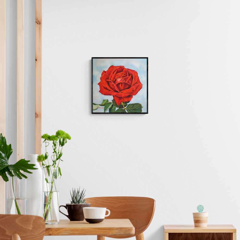 Framed Canvas Print of a Rose, the National Flower of the USA, 16" by 16"